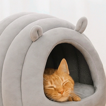 CAMA CASA FELPUDA PARA GATOS