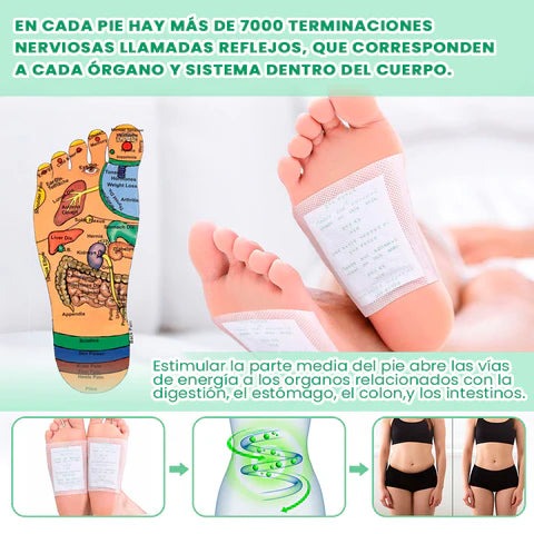 Parche Kinoki™ Desintoxicante para Pies: Purifica y renueva energía mientras duermes. ( 10 Parches)